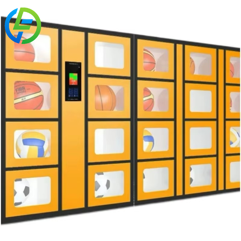 Customize 24-hour Smart Sports - огляд і ціна Sports Equipment Locker
