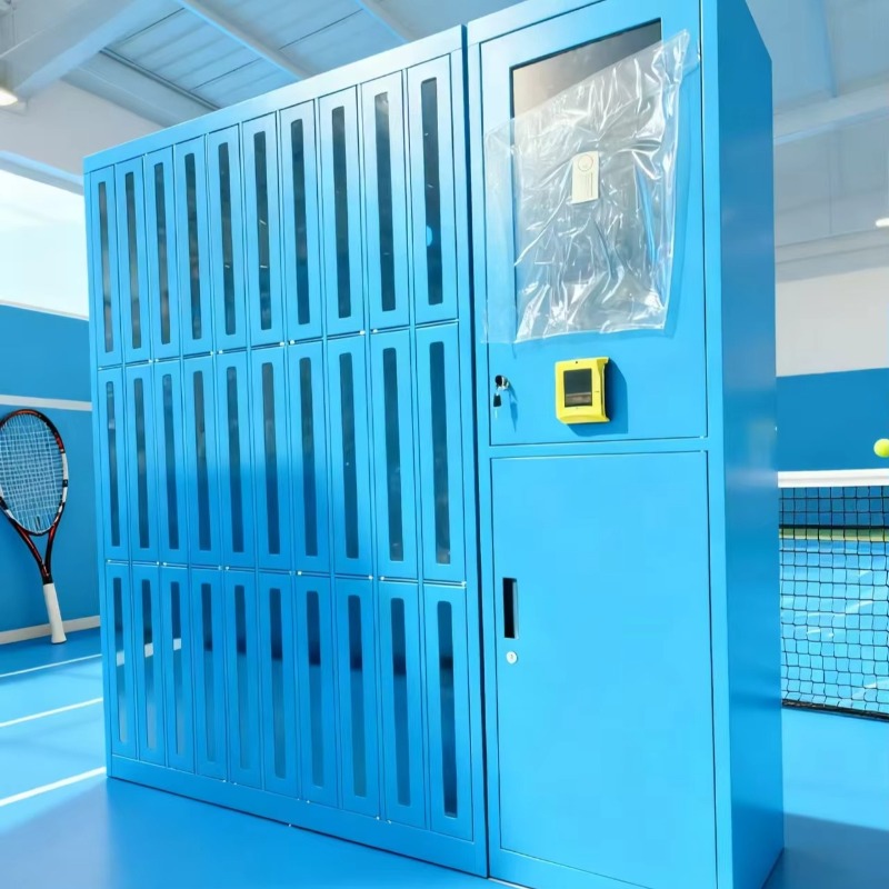 Custom High-quality Club Gym S - огляд і ціна Sports Equipment Locker